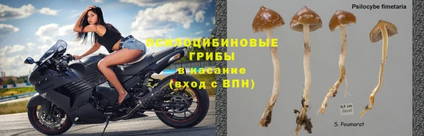 ECSTASY Алексеевка