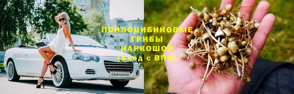 трава Алексин